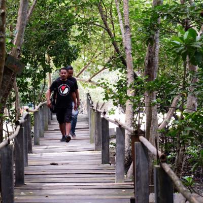 Pemprov Kepri Genjot Penanaman Mangrove 50 Hektare per Tahun untuk Lawan Pemanasan Global
