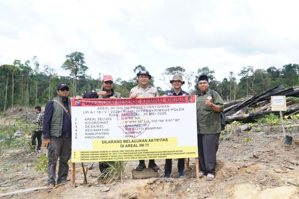 Oknum Ninik Mamak Terlibat Perambahan Hutan, Begini Tanggapan LAM Riau