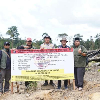 Oknum Ninik Mamak Terlibat Perambahan Hutan, Begini Tanggapan LAM Riau