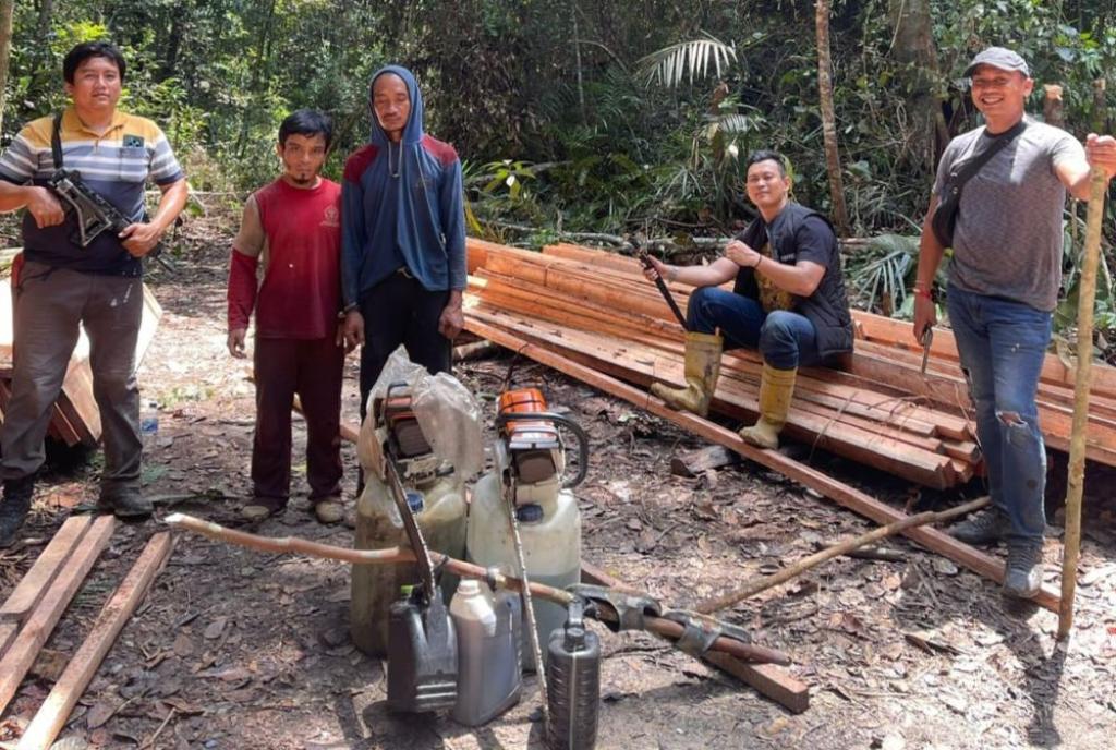7 Pelaku Illegal Logging di Kawasan Habitat Harimau Sumatera Rimbang Baling Diringkus