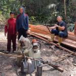 7 Pelaku Illegal Logging di Kawasan Habitat Harimau Sumatera Rimbang Baling Diringkus