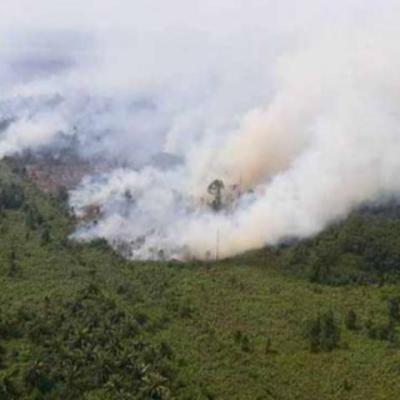 42 Titik Panas Terdeteksi di Sumatera Pagi ini, Riau Paling Banyak