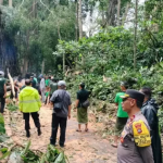 Sepanjang Tahun 2024, 15 Turis Asing Meninggal Akibat Longsor dan Kecelakaan di Bali