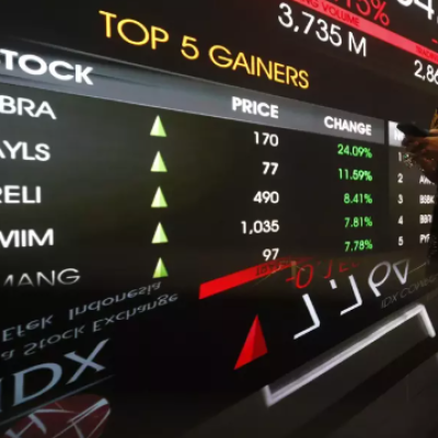 BEI Laporkan Penurunan IPO pada 2024