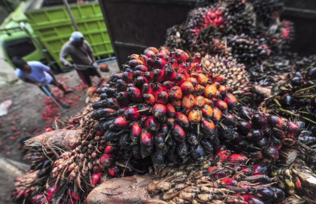 Batas Waktu Pakta Perdagangan Indonesia dan Uni Eropa Diundur hingga Paruh Pertama Tahun 2025