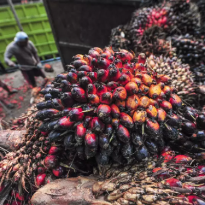 Batas Waktu Pakta Perdagangan Indonesia dan Uni Eropa Diundur hingga Paruh Pertama Tahun 2025