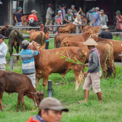 Pasar Sapi di Tulungagung Ditutup Akibat Wabah Penyakit Kuku dan Mulut