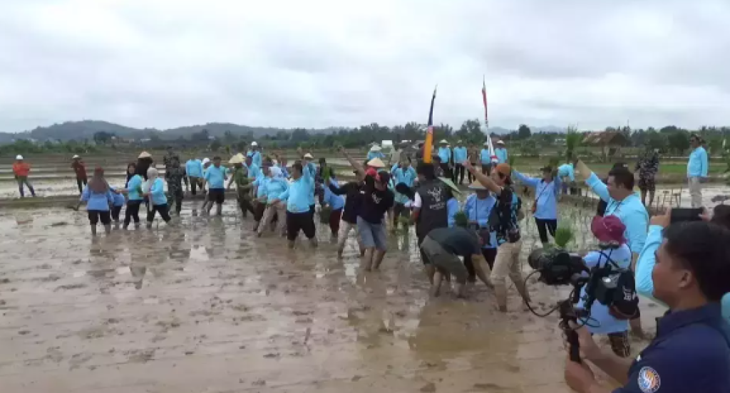 Pemerintah Kaltim Ubah Lahan Bekas Tambang Batu Bara Jadi Sawah