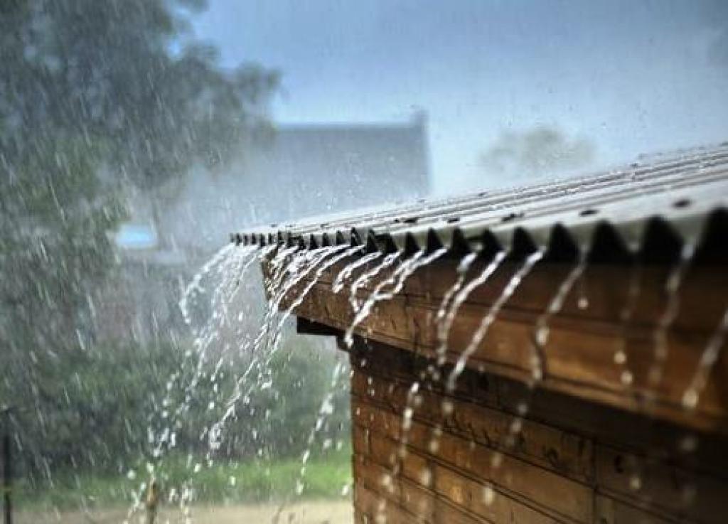 Hujan Lebat Diprediksi Guyur 5 Kabupaten di Riau Hari ini