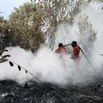 Tim Pemadaman Karhutla di Rimbo Panjang Kesulitan Padamkan Api Akibat Sulit Temukan Air