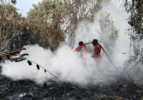 Tim Pemadaman Karhutla di Rimbo Panjang Kesulitan Padamkan Api Akibat Sulit Temukan Air
