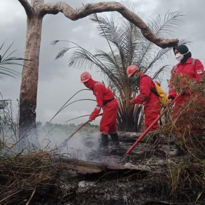 Riau Siaga Karhutla! Gubernur Abdul Wahid Ingatkan Ancaman Cuaca Ekstrem