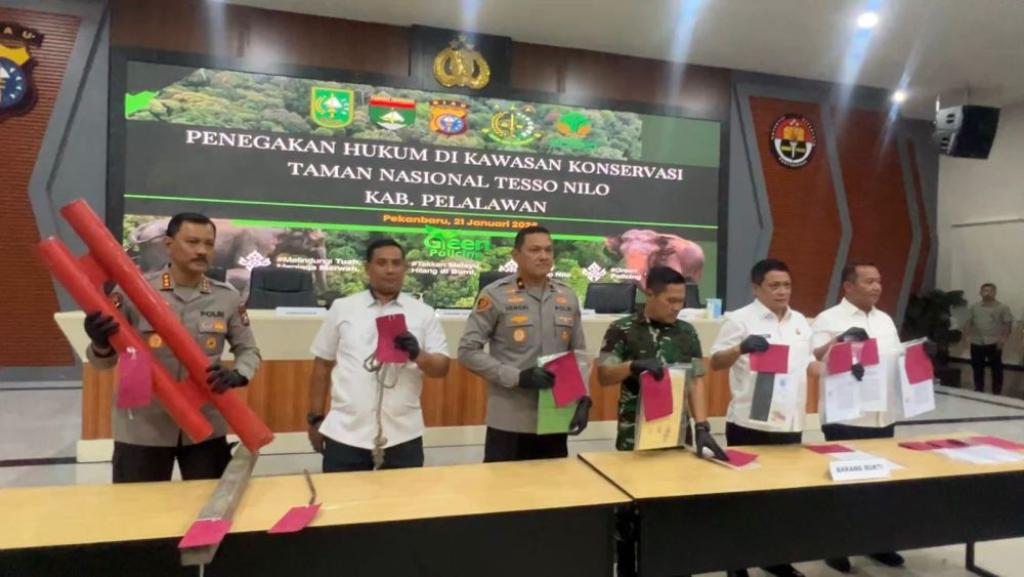 Polda Riau Tangkap 9 Orang Terkait Perambahan dan Perusakan di TNTN