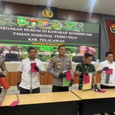 Polda Riau Tangkap 9 Orang Terkait Perambahan dan Perusakan di TNTN