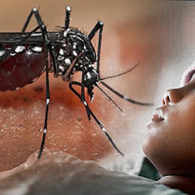 Kasus DBD Meningkat Tajam, Pemkab Natuna Liburkan Siswa TK, SD Hingga SMP di Pulau Midai