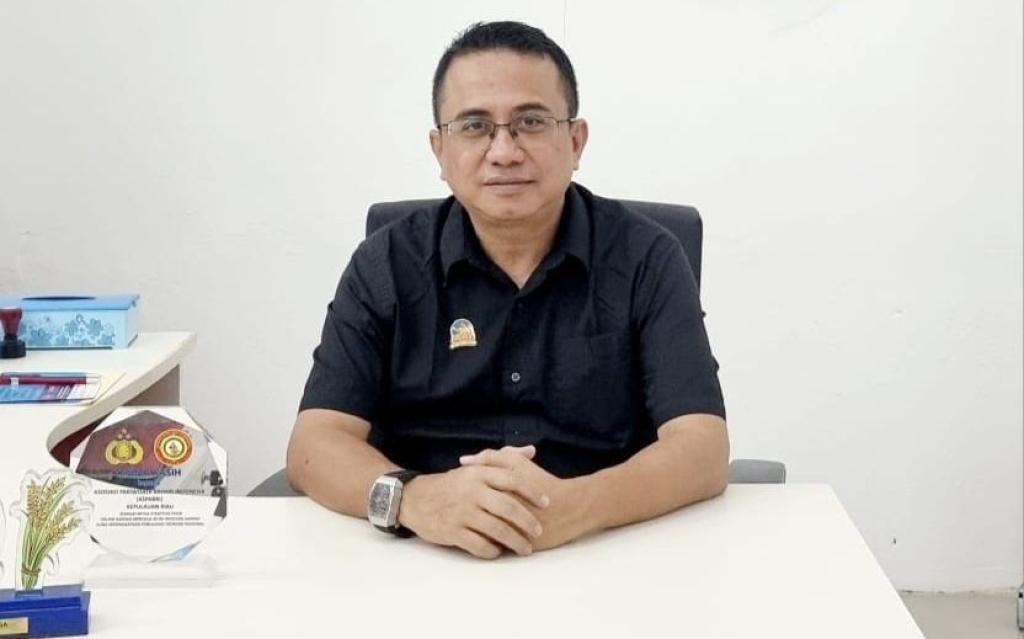 Praktisi: Efisiensi Jadi Penyebab Turunnya Okupansi Hotel di Kepri