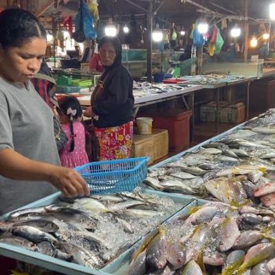 Ekspor Ikan dari Batam Capai Rp69 Miliar di Kuartal I 2025