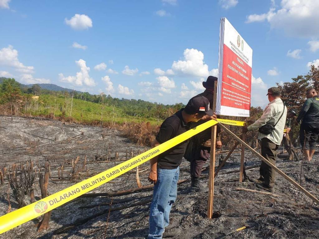 Kemenhut Tindak Tegas Korporasi dan Individu Pembakar Hutan, Riau Terbanyak Penindakan